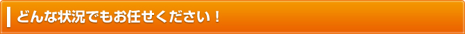 どんな状況でもお任せください!