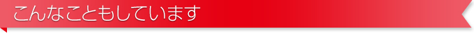 こんなこともしています